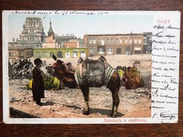 C.P.A. :  AZERBAIJAN :  BAKU, Camel  AZERBADJIAN : Chameau, Stamp In 1901 - Azerbeidzjan