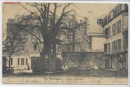 44 LA-MONTAGNE . Façade Principale , édit : Mégroz , écrite En 1913 , état Extra - La Montagne