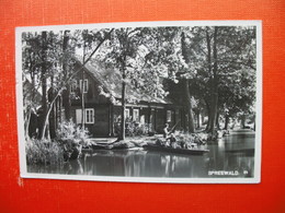 Wotschofska Im Spreewald - Lübbenau