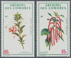 Komoren: 1971, Flowers Airmail Stamps 60fr. ‚Hibiscus Schizopetalus‘ And 85fr. ‚Acalypha Hispida‘ In - Comores (1975-...)