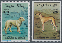 Marokko: 1984, Dogs Set Of Two 0.80dh. ‚Aidi ‘ And 2.00dh. ‚Slughi‘ In A Lot With 470 Sets Mostly In - Lettres & Documents