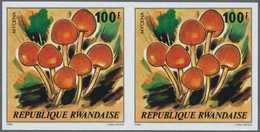 Ruanda: 1967/1983, Accumulation In Large Box With Many Complete Sets Some In Larger Quantities, Impe - Autres & Non Classés