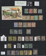 Senegal: 1865/1910 (ca.), Mint And Used Collection On Stockpages, From Some General Issues With Bett - Other & Unclassified