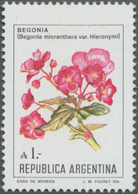 Thematik: Flora, Botanik / Flora, Botany, Bloom: 1985, ARGENTINA: Flower Definitive 1a. ‚Begonia Mic - Autres & Non Classés