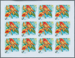 Thematik: Flora-Orchideen / Flora-orchids: 1972, Burundi. Progressive Proofs Set Of Sheets For The O - Orquideas