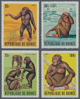 Thematik: Tiere-Affen / Animals-monkeys: 1969, GUINEA: Chimpanzee (Pan Troglodytes) Complete Set Of - Singes