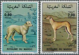 Thematik: Tiere-Hunde / Animals-dogs: 1984, MOROCCO: Dogs Set Of Two 0.80dh. ‚Aidi ‘ And 2.00dh. ‚Sl - Chiens