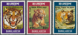 Thematik: Tiere-Raubtiere / Animals-predacious Cats: 1974, BANGLADESH: Tiger Complete Set Of Three I - Other & Unclassified