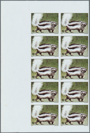Thematik: Tiere-Säugetiere / Animals-mammals: 1970/2000 (ca.), Assortment Of 65 Positions Incl. Spec - Andere & Zonder Classificatie