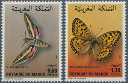 Thematik: Tiere-Schmetterlinge / Animals-butterflies: 1982, MOROCCO: Butterflies Set Of Two 0.60dh. - Mariposas