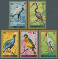 Thematik: Tiere-Vögel / Animals-birds: 1965, BURUNDI: Birds Airmails Complete IMPERFORATE Set Of Nin - Altri & Non Classificati