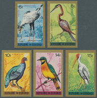 Thematik: Tiere-Vögel / Animals-birds: 1965, BURUNDI: Birds Airmails Complete IMPERFORATE Set Of Nin - Other & Unclassified