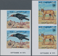 Thematik: Tiere-Vögel / Animals-birds: 1975, MOROCCO: Animals Set Of Two 0.40dh. ‚Geronticus Eremita - Other & Unclassified