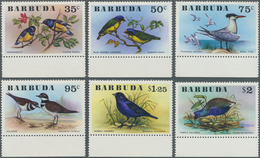 Thematik: Tiere-Vögel / Animals-birds: 1976, BARBUDA: Birds Complete Set Of Six In A Lot With 40 Set - Altri & Non Classificati
