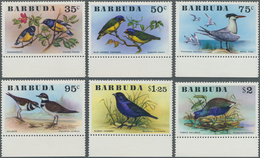 Thematik: Tiere-Vögel / Animals-birds: 1976, BARBUDA: Birds Complete Set Of Six In A Lot With 40 Set - Otros & Sin Clasificación