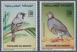 Thematik: Tiere-Vögel / Animals-birds: 1987, MOROCCO: Birds Set Of Two 1.00dh. ‚Passer Simplex Sahar - Andere & Zonder Classificatie