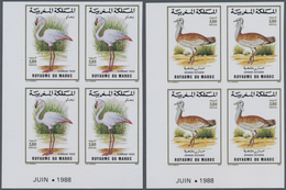 Thematik: Tiere-Vögel / Animals-birds: 1988, MOROCCO: Birds Set Of Two 3.60dh. ‚Phoenicopterus Ruber - Altri & Non Classificati