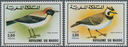 Thematik: Tiere-Vögel / Animals-birds: 1989, MOROCCO: Birds Set Oft Wo 2.00dh. ‚Oenanthe Deserti‘ An - Otros & Sin Clasificación