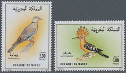 Thematik: Tiere-Vögel / Animals-birds: 1990, MOROCCO: Birds Set Of Two 2.00dh. ‚Streptopelia Turtur‘ - Sonstige & Ohne Zuordnung