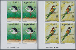 Thematik: Tiere-Vögel / Animals-birds: 1991, MOROCCO: Birds Set Of Two 3.00dh. ‚Ciconia Ciconia‘ And - Altri & Non Classificati