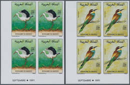 Thematik: Tiere-Vögel / Animals-birds: 1991, MOROCCO: Birds Set Of Two 3.00dh. ‚Ciconia Ciconia‘ And - Otros & Sin Clasificación