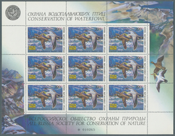 Thematik: Tiere-Wasservögel / Animals-water Birds: 1993, 300 R. Waterfowl Duck Stamp MNH, 48 Miniatu - Otros & Sin Clasificación