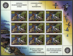 Thematik: Tiere-Wasservögel / Animals-water Birds: 1996, 30.000 R. Waterfowl Duck Stamp MNH, 167 Min - Sonstige & Ohne Zuordnung