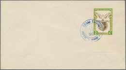 Thematik: UPU / United Postal Union: 1949/1979, Accumulation Of Apprx. 180 Thematic Covers/cards Wit - U.P.U.