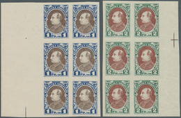 Albanien: 1925, Definitive Issue 'Achmed Zogu' UNISSUED Stamps 1fr. Blue/brown And 2fr. Grey Green/r - Albanie