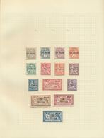 Französische Post In Der Levante: 1902/1931, Levant/Rouad/Syria/Grand Liban, Mint Collection On Albu - Andere & Zonder Classificatie