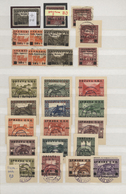 Jugoslawien: 1918/1919, Specialised Accumulation Of Apprx. 1.050 Stamps, Almost Exclusively Issues F - Gebruikt