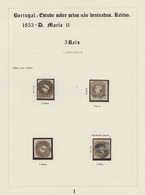 Portugal: 1853/1864, Specialised Exhibit Collection Of Embossed First Issues On Apprx. 70 Album Page - Neufs