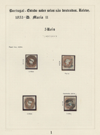 Portugal: 1853/1864, Specialised Exhibit Collection Of Embossed First Issues On Apprx. 70 Album Page - Ongebruikt