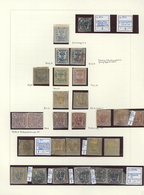 Rumänien: 1858/1928, Deeply Specialised Mint And Used Collection In A Binder, Neatly Arranged On Nea - Otros & Sin Clasificación