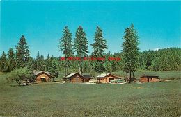 281533-Montana, Big Fork, Eva Gates Homemade Preserves Advertising, Glacier Studio By Dexter No 25286-B - Altri & Non Classificati