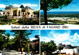 BRINDISI - Saluti Da Selva Di Fasano - 4 Vedute - Trulli - Viale Toledo - Panorama - Brindisi