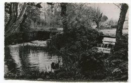 BRIOUX Sur BOUTONNE La Boutonne Au Grand Moulin - Brioux Sur Boutonne