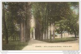 95 NOINTEL - ALLEE PRINCIPALE DU CHATEAU ALLEE DE MIDI - Nointel