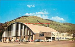 281609-Montana, Missoula, University Field House, Bob Anderson By Colourpicture No P38825 - Missoula