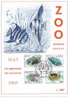 België  O.B.C  Maxikaart  1470 / 1473   (O)   125 Jaar ZOO Antwerpen - 1961-1970