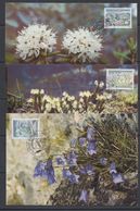 Greenland 1990 Flowers 3v 3 Maxicards (40699) - Cartas Máxima