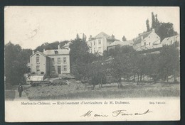 MERBES-LE- CHATEAU. Etablissement D'Horticulture De M. Dufossez.  1904.  2 Scans. - Merbes-le-Château