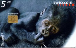 5 CHF Ybana Alias King Kong Junior - Exp 05/2002 - Suisse