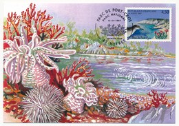 FRANCE => 4 Cartes Maximum - Série Nature - Parc Des Pyrénées, Des Ecrins, De Port Cros, De La Guadeloupe - 12.4.1997 - 1990-1999