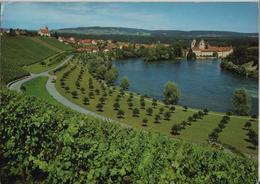 Rheinau - Gneralansicht - Photo: Hugo Kopp - Rheinau