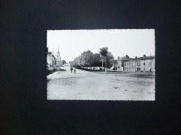 Carte Postale Ancienne De Thénezay: Les Promenades, Vers La Mairie Et L'Eglise - Thenezay