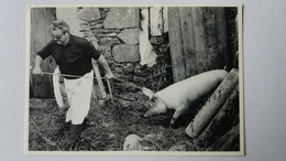 Plénée-Jugon - Pascal Martin PHOTOGRAPHE  - LOUIS DUCHENE LA MORT DU COCHON - BOUCHER DE CAMPAGNE 1986 - Plénée-Jugon