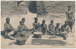 SOUDAN - Préparation Du Beurre De Karité, Triage Des Noix - Fortier - Mali