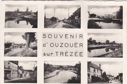 F45-031 SOUVENIR D'OUZOUER SUR TREZEE - CARTE MULTIVUES (8) - Ouzouer Sur Loire