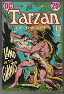 Tarzan Of The Apes Nr 211 - (In English) DC - National Periodical Publications. Inc. - Aug 1972 - Kubert - Hogarth - BE - DC